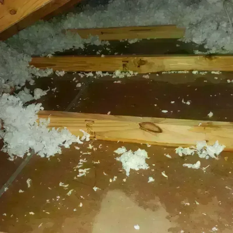 Attic Water Damage in Ingram, TX