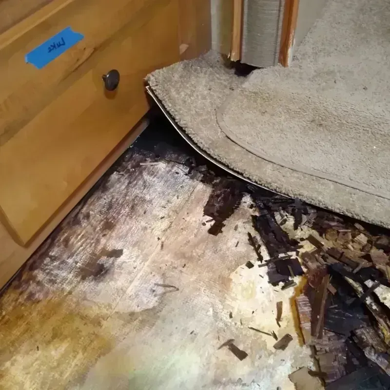 Wood Floor Water Damage in Ingram, TX